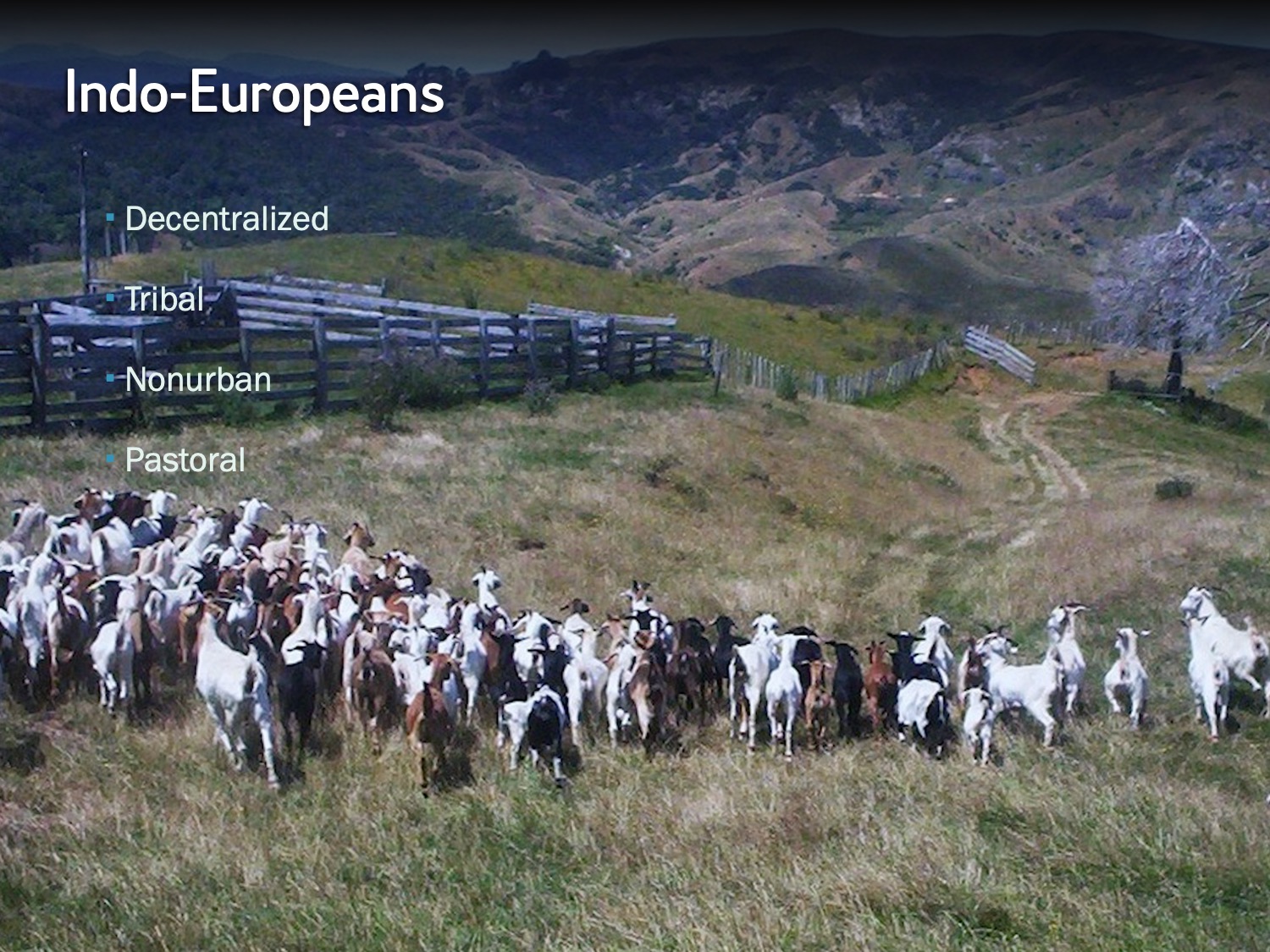 Slide 6