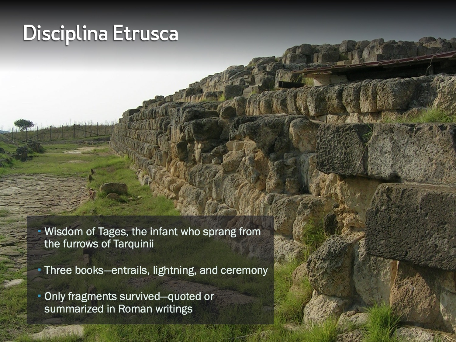 Slide 19