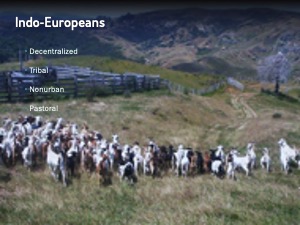Slide 6