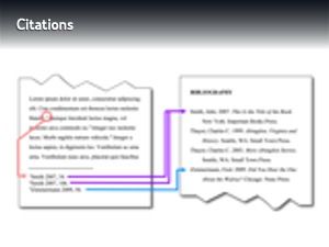 Slide 8