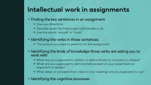 Slide 11
