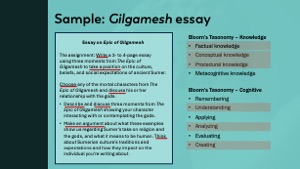Slide 12