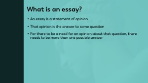 Slide 11